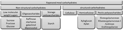Chemical and nutritional characteristics, and microbial degradation of rapeseed meal recalcitrant carbohydrates: A review